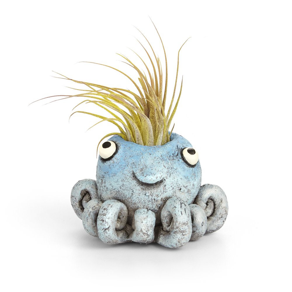 Inky Octopus Planter