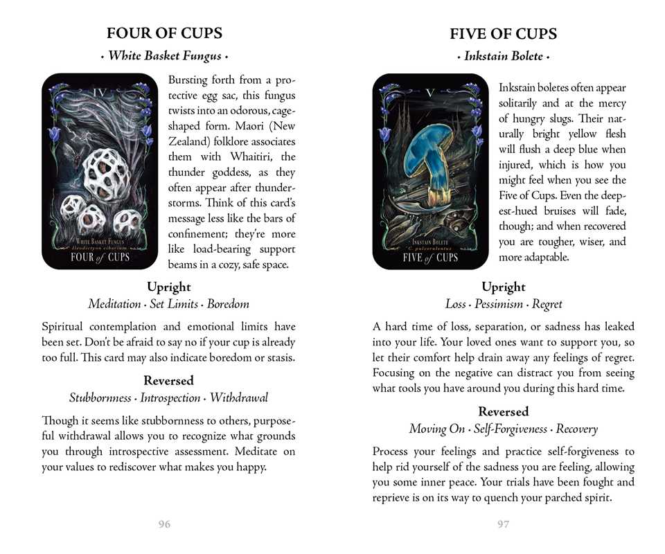 Midnight Magic Mushroom Tarot