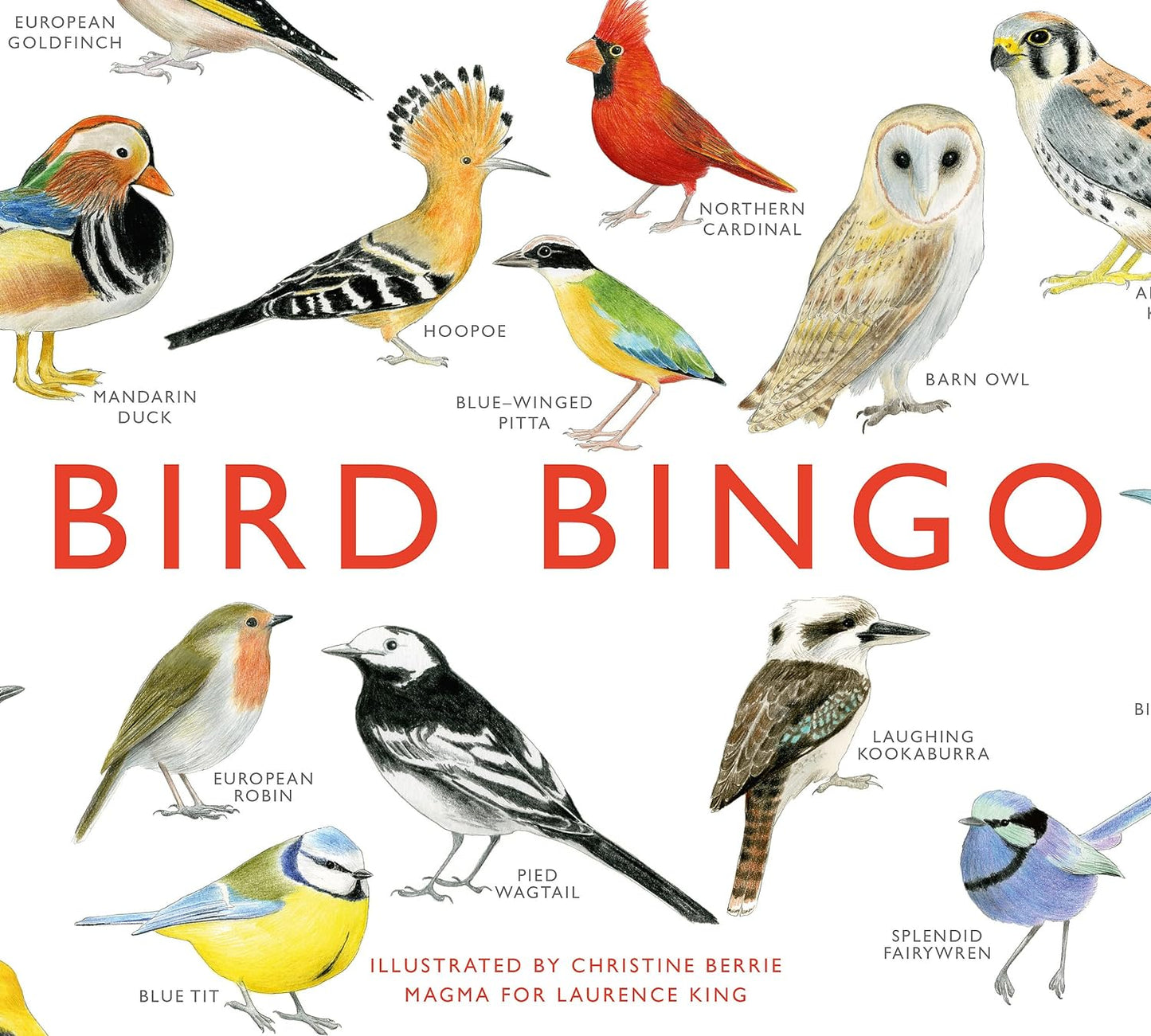 Bird Bingo Game