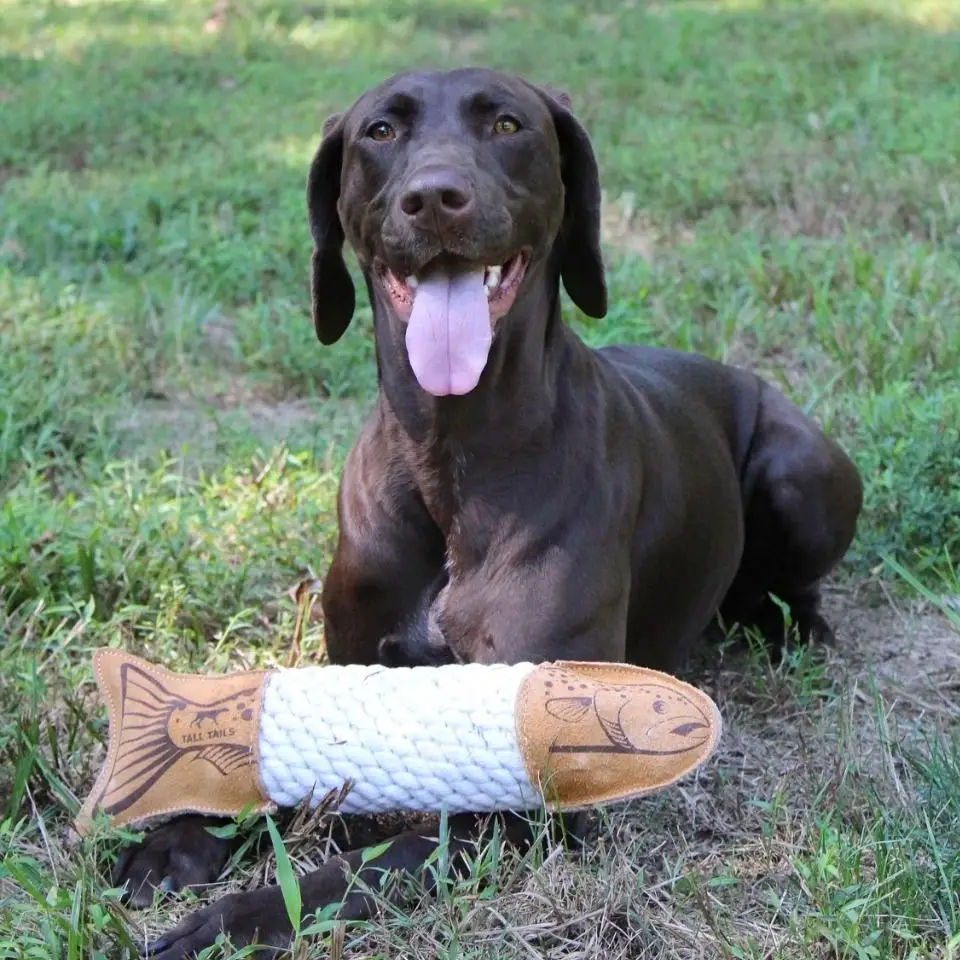 Natural Leather Trout Rope Tug Dog Toy 15"