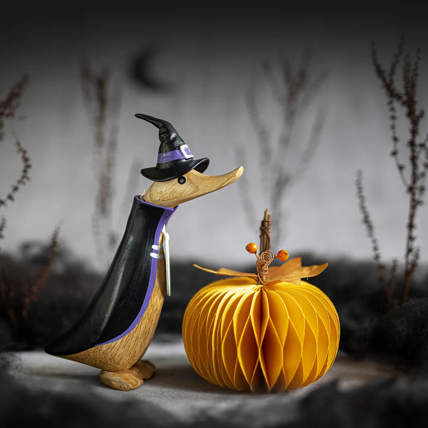 Witch Wooden Duck