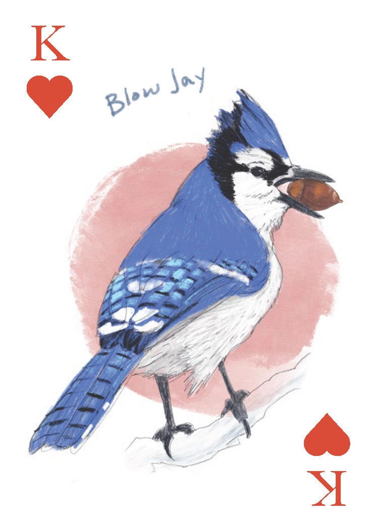 Field Guide To Dumb Birds Playing Cards