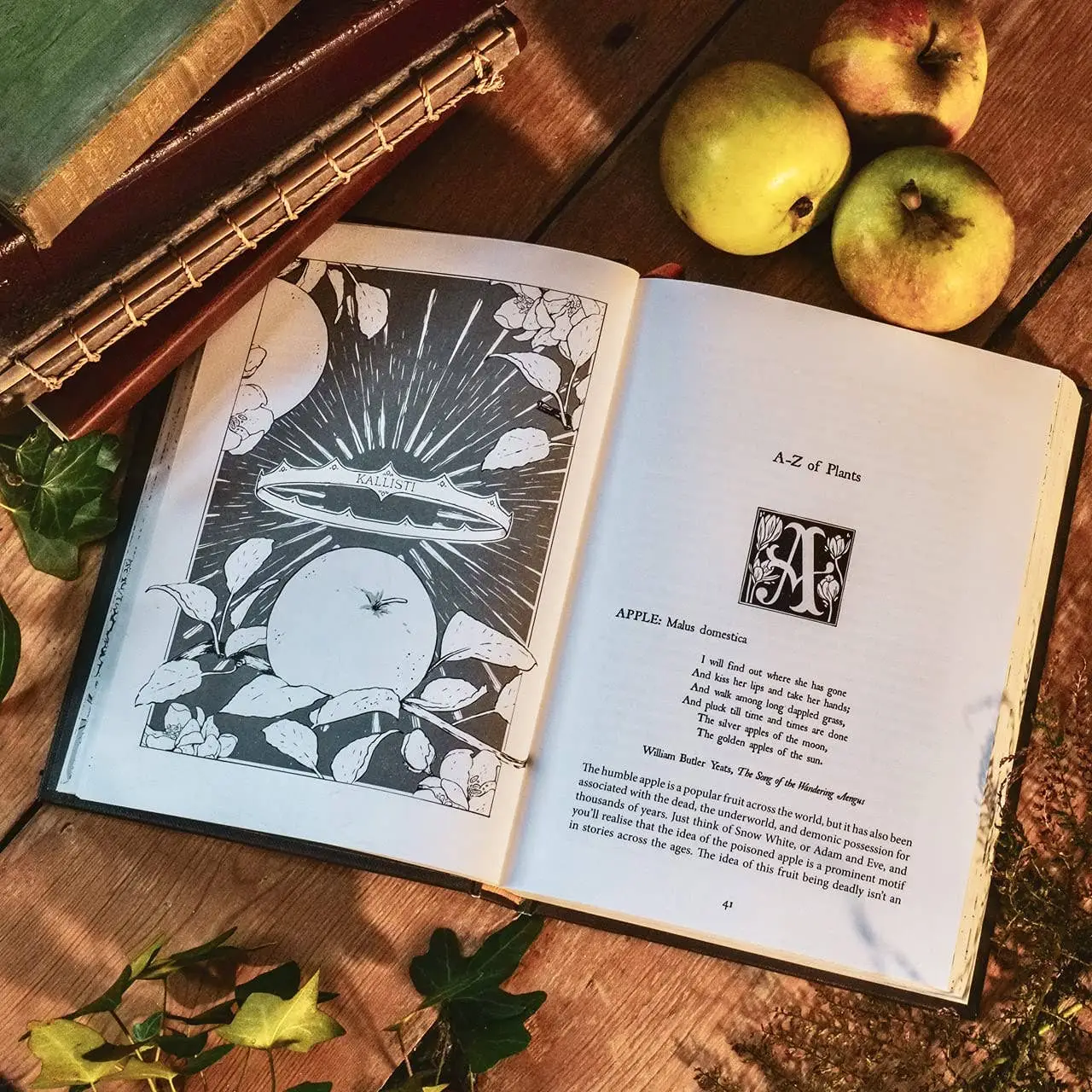 Botanical Curses and Poisons Book