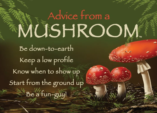 Magnet Advice from a Mushroom