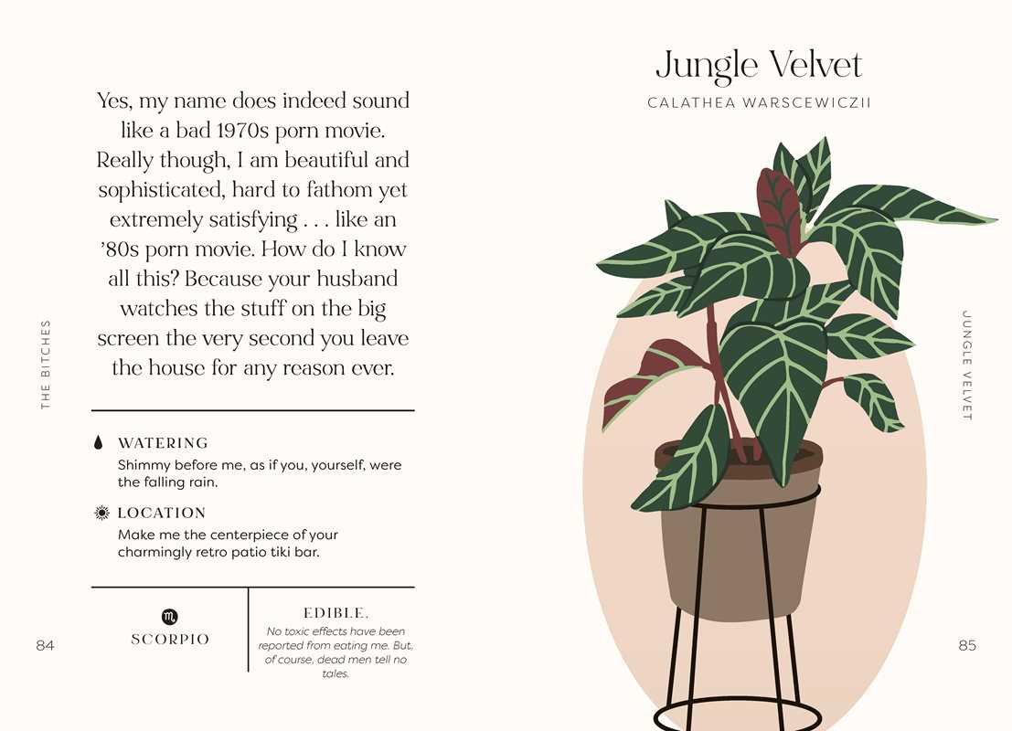 Houseplants and Their F*cked-Up Thoughts Book