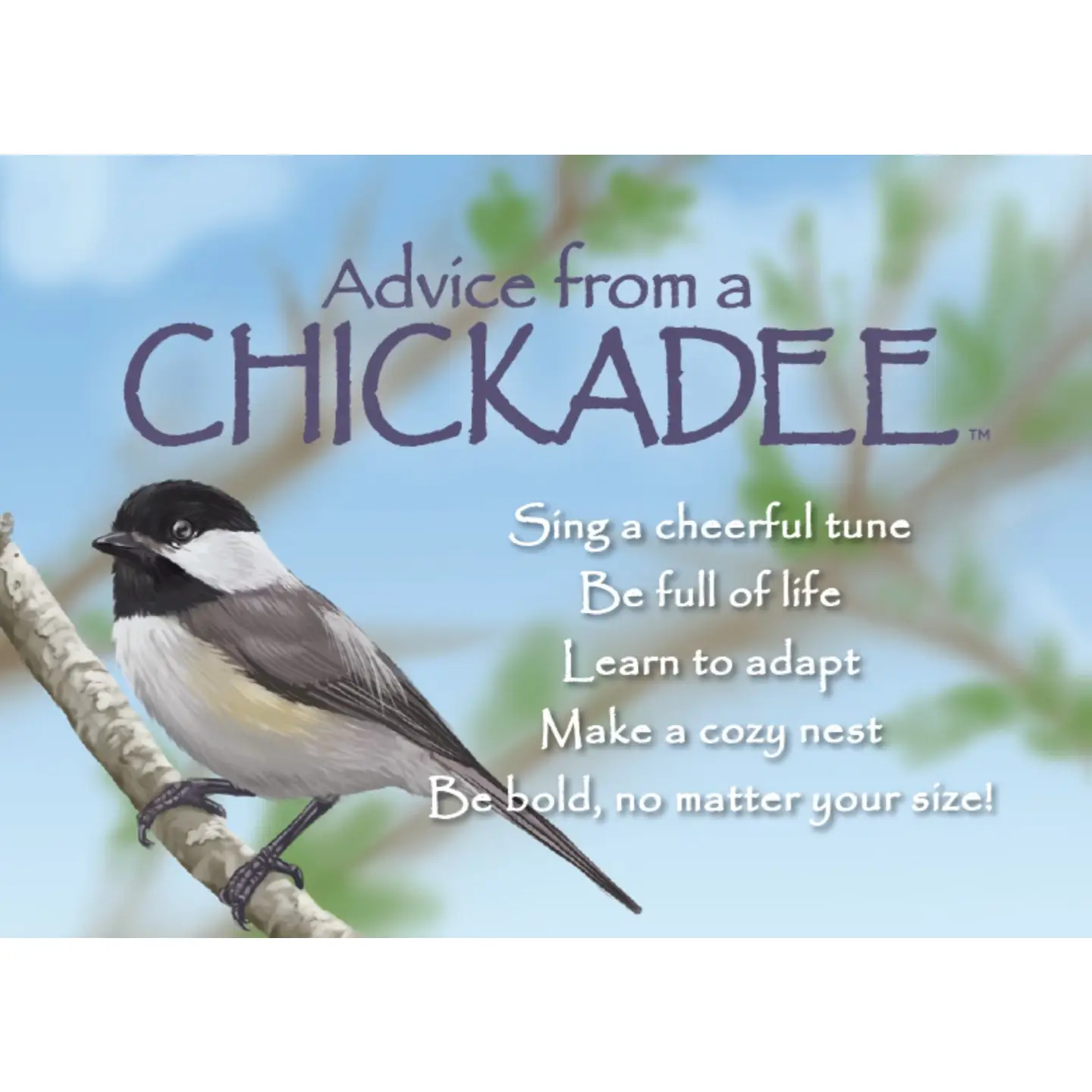 Magnet Advice from a Chickadee