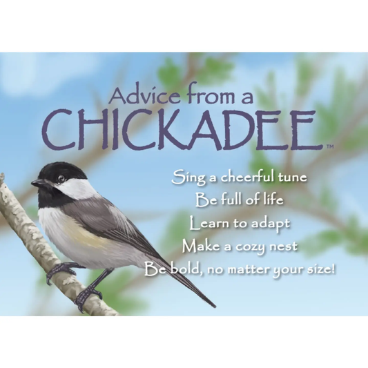 Magnet Advice from a Chickadee