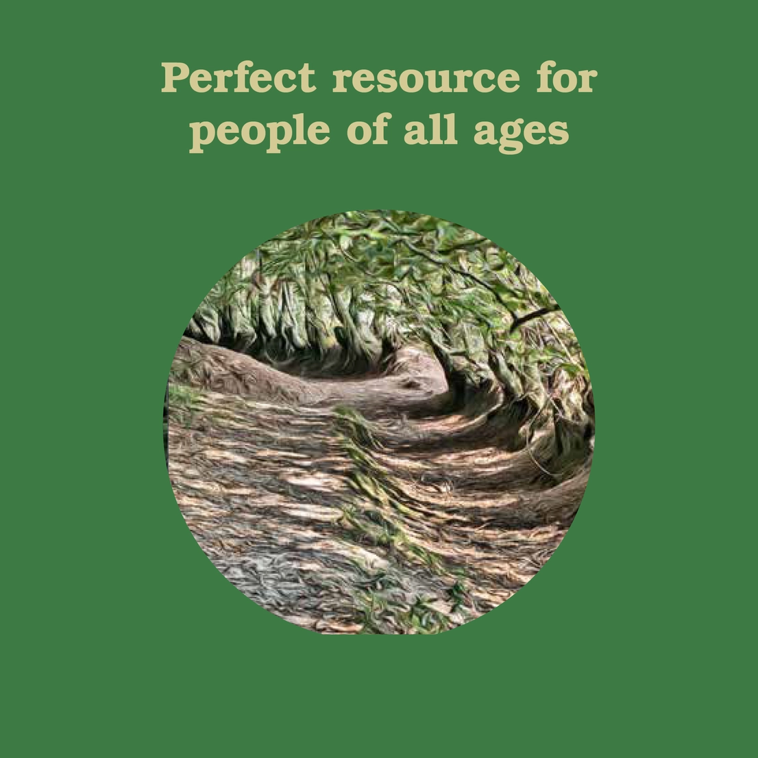 Forest School For Grown Ups Books