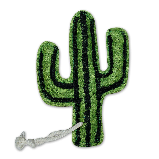 Cactus Loofah