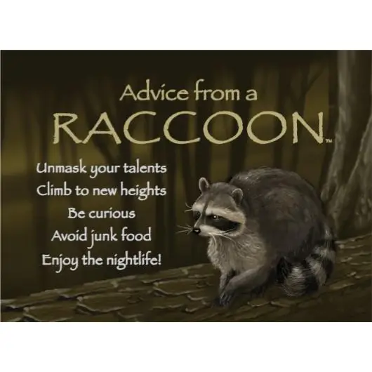 Magnet Advice from a Raccoon