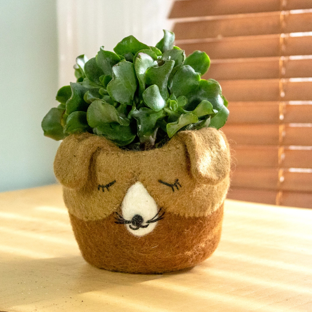 Felted Planter - Dog