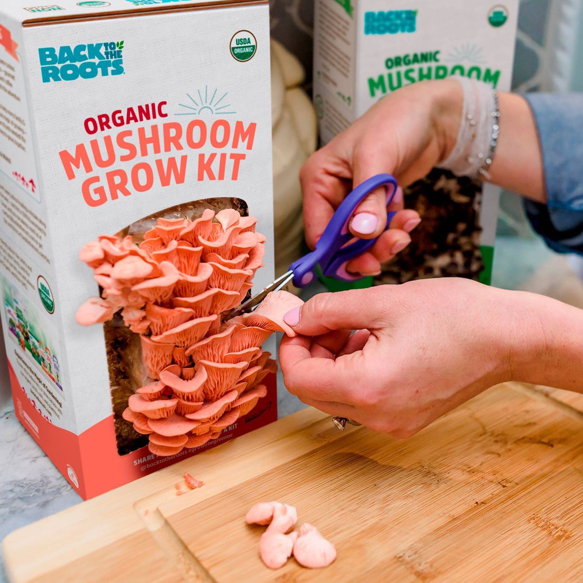 Pink Oyster Mushroom Grow Kit