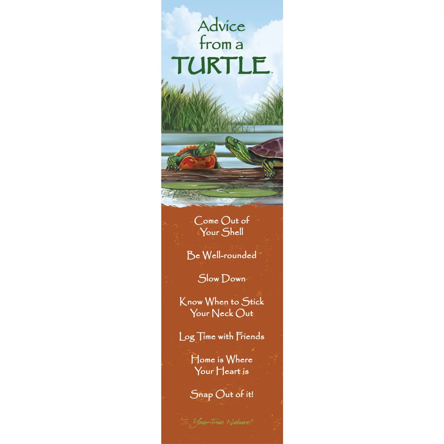 Bookmark Advice from a Turtle