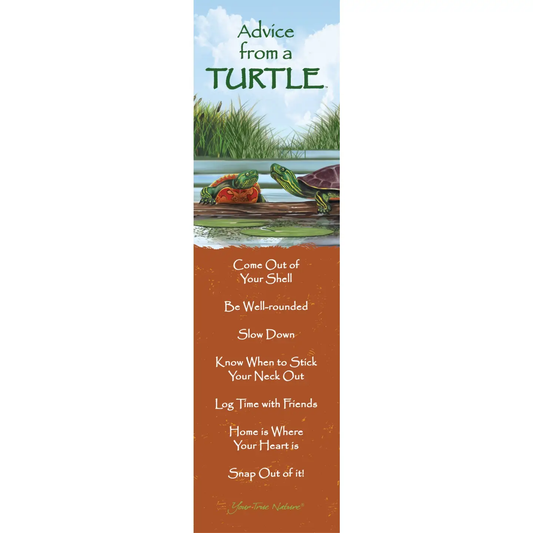 Bookmark Advice from a Turtle