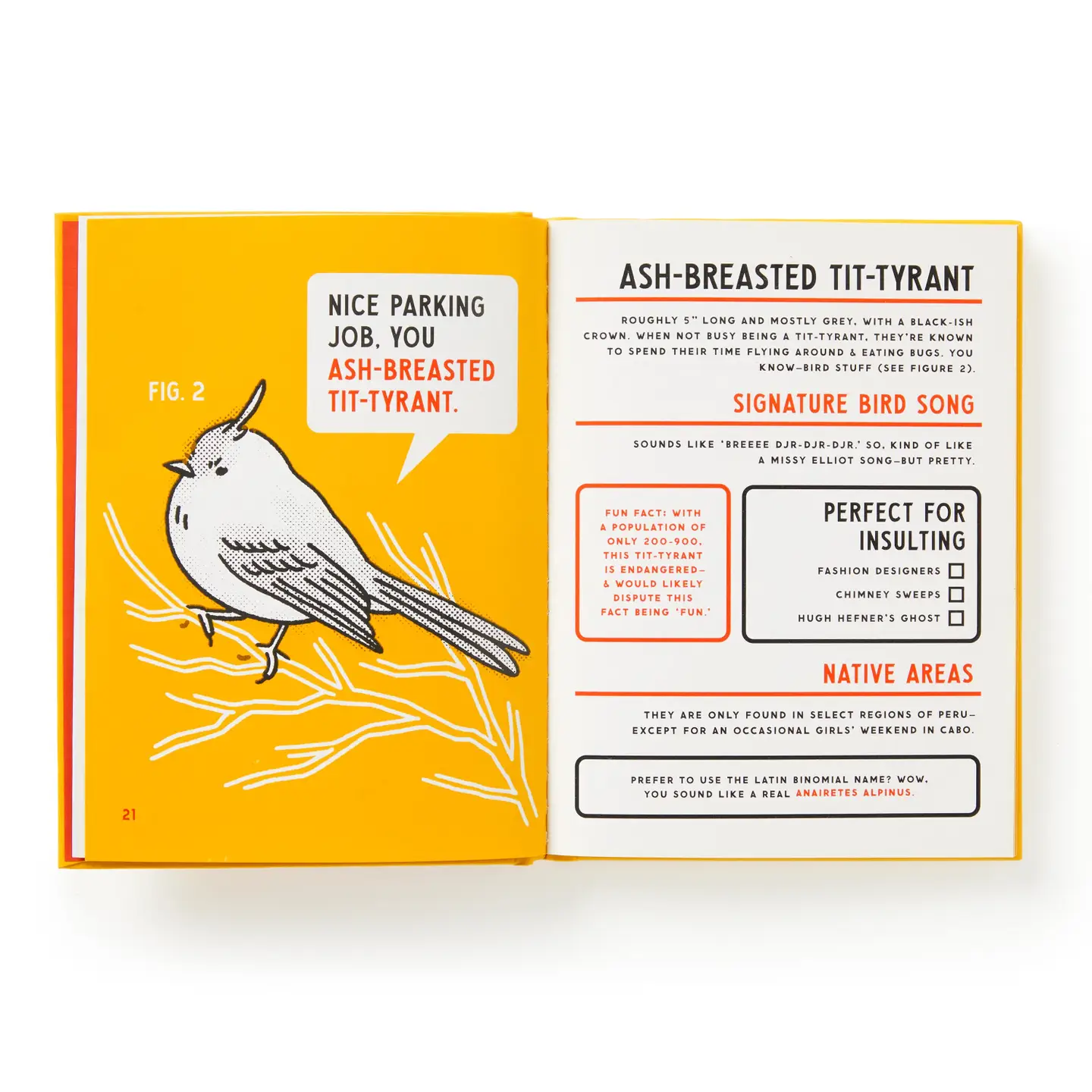 Brass Monkey An Illustrated Guide To Birds Book