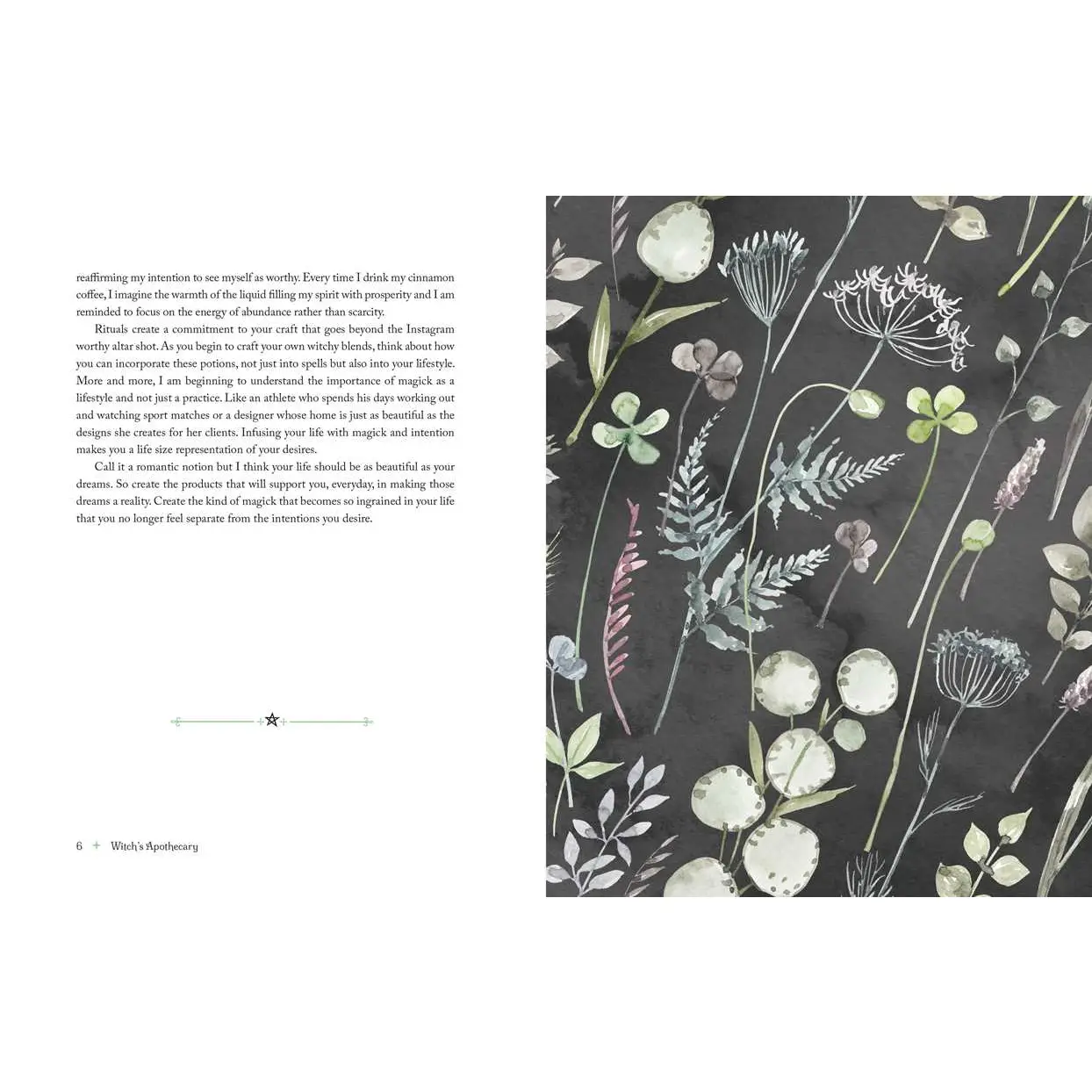 Witch’s Apothecary Book