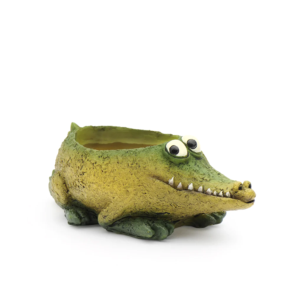 Baby Alligator Planter