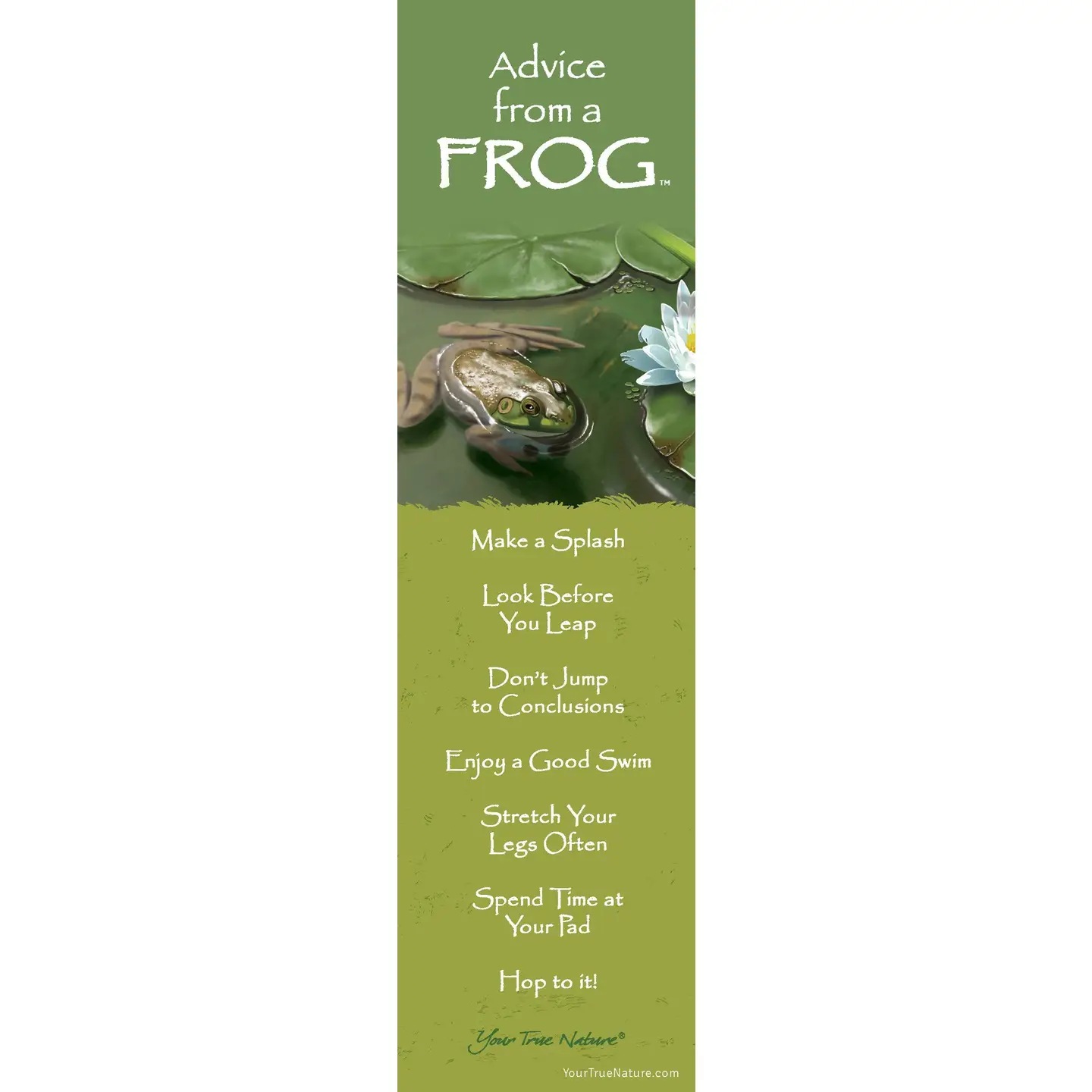 Bookmark Advice from a Frog