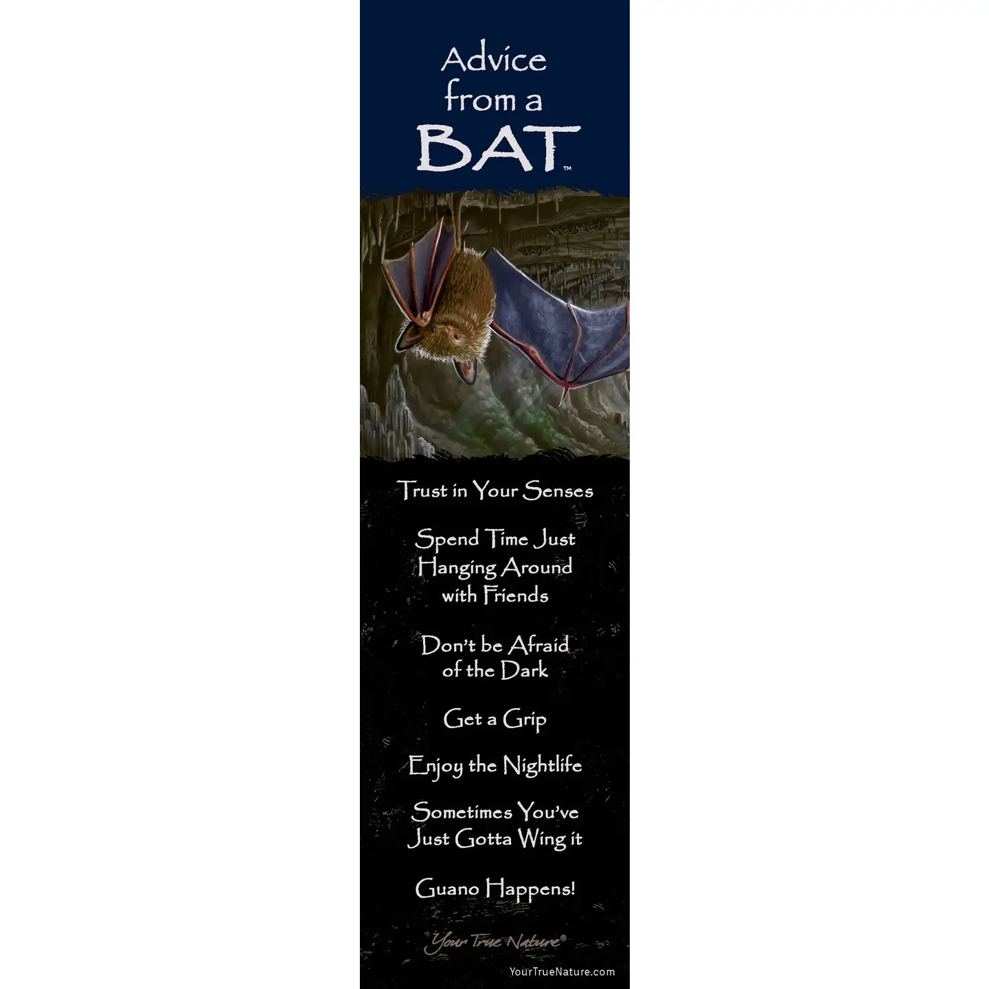 Bookmark Advice from a Bat