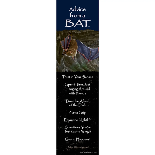 Bookmark Advice from a Bat