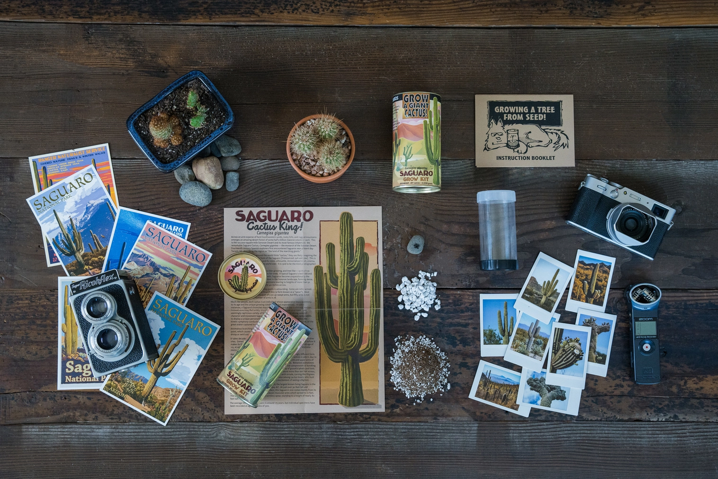 planting saguaro seeds Saguaro Cactus Seed Grow Kit – Weeds