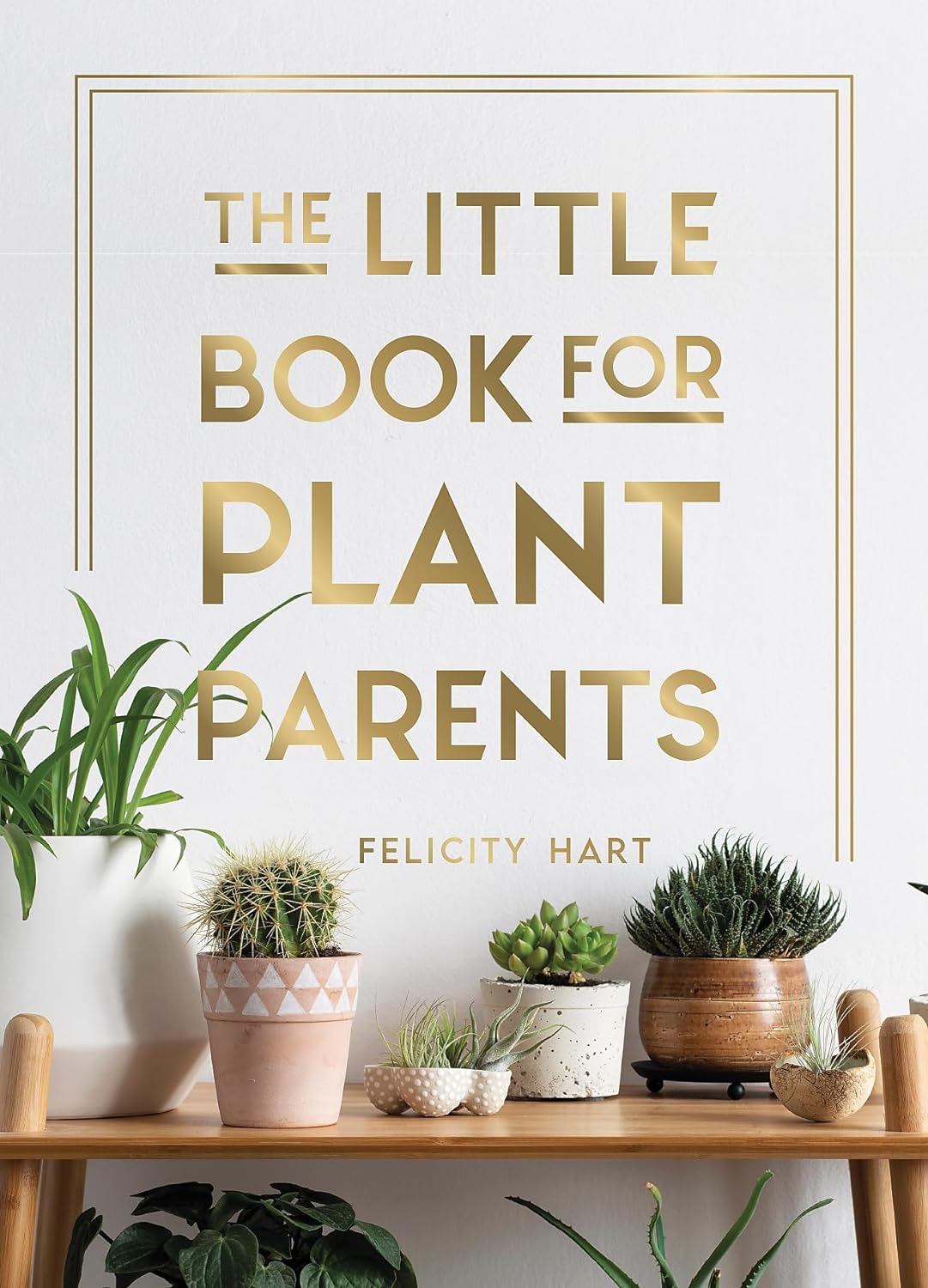 Little Book for Plant Parents Book