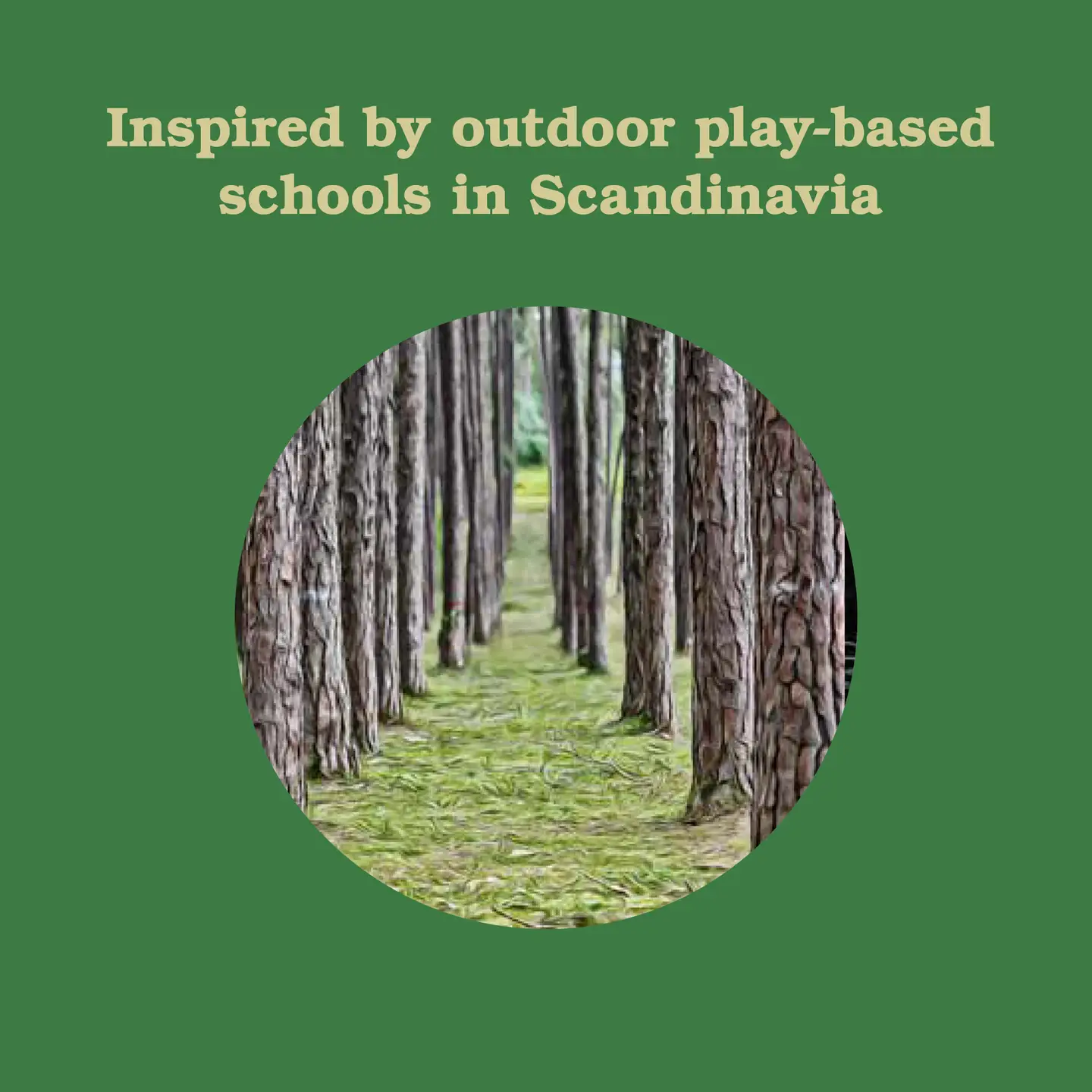 Forest School For Grown Ups Books