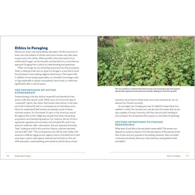 How To Forage For Medicinal Plants Without Dying Book
