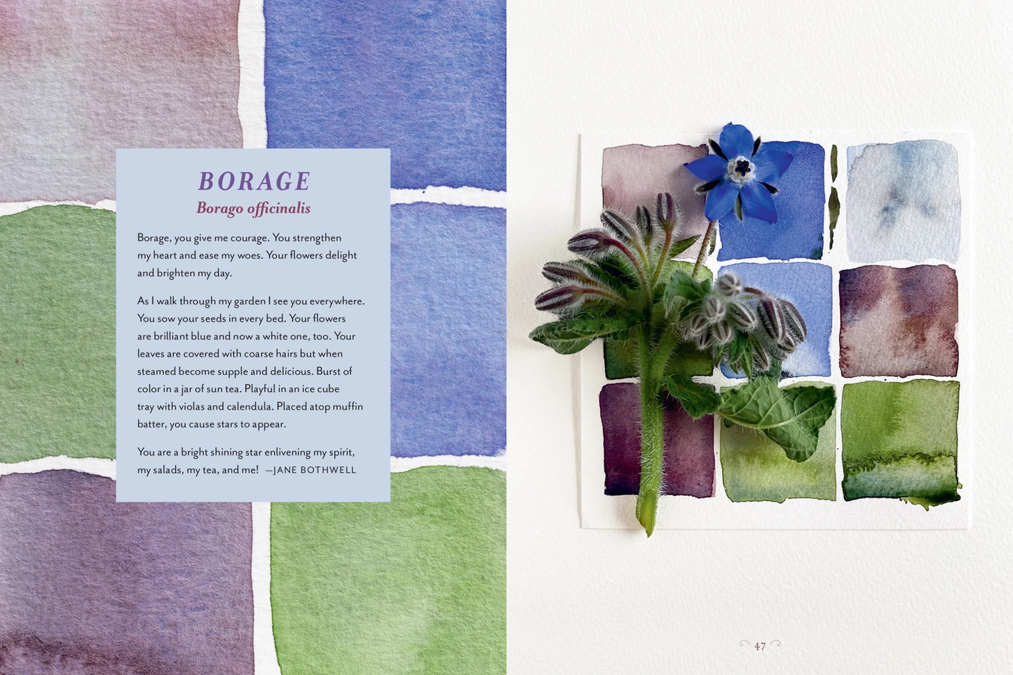 The Generosity of Plants Book