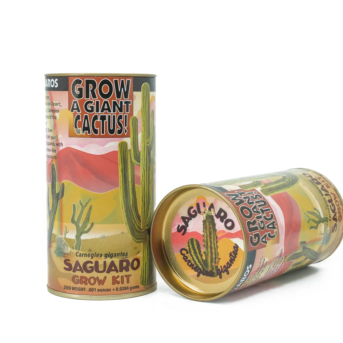 planting saguaro seeds Saguaro Cactus Seed Grow Kit – Weeds
