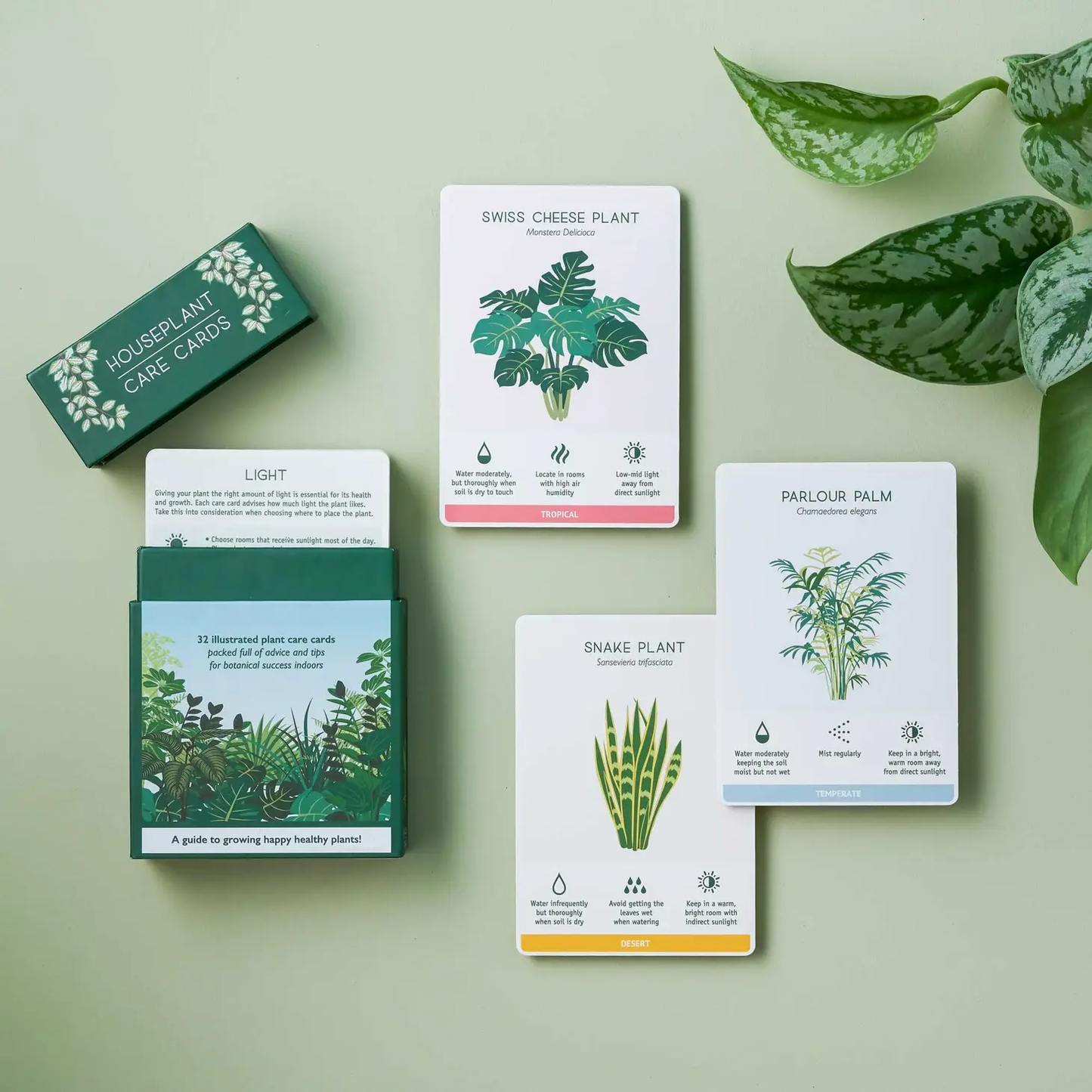 Houseplant Care Cards