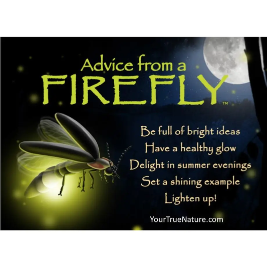 Magnet Advice from a Firefly