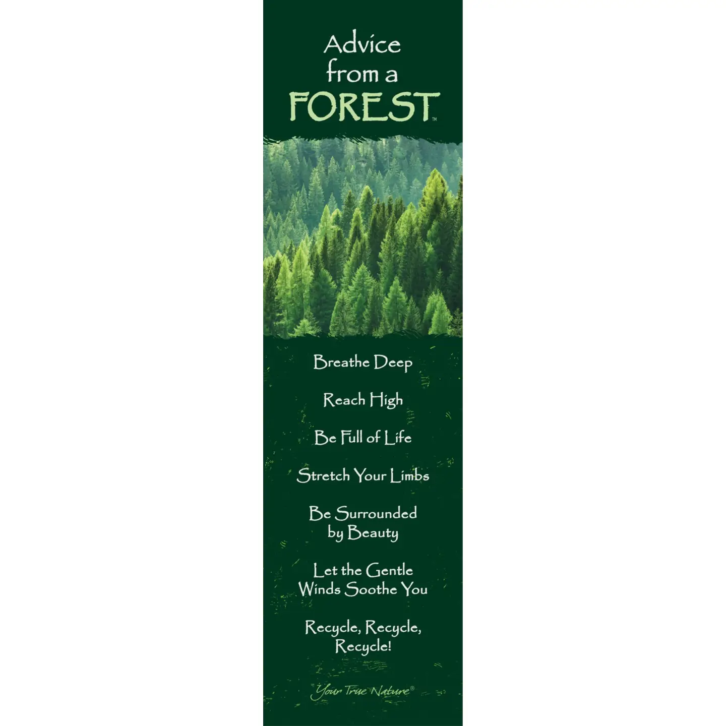 Bookmark Advice from a Forest