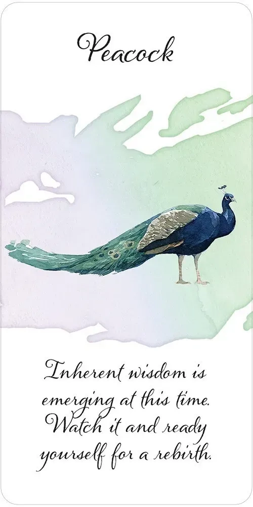 Divine Feather Messenger Cards