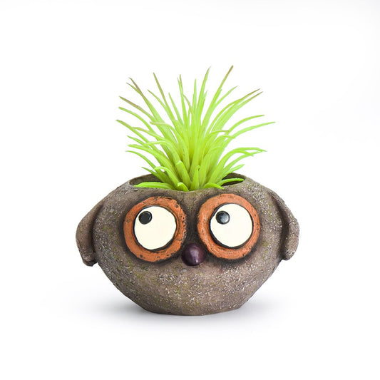 Baby Brown Owl Mini Planter