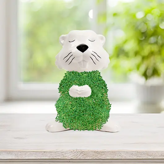 Hairy Beaver Planter