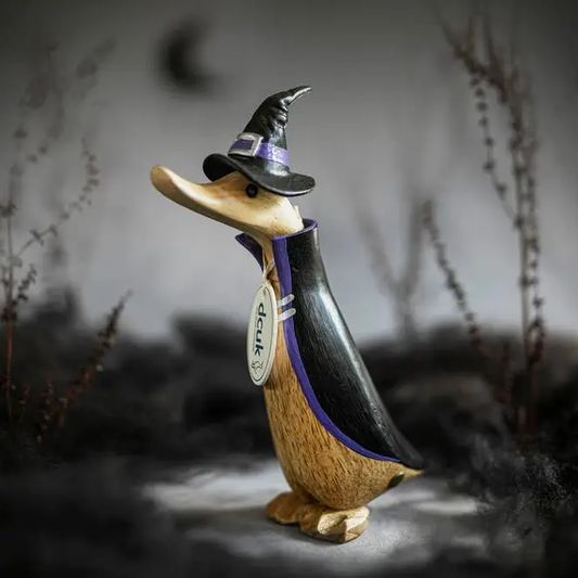 Witch Wooden Duck