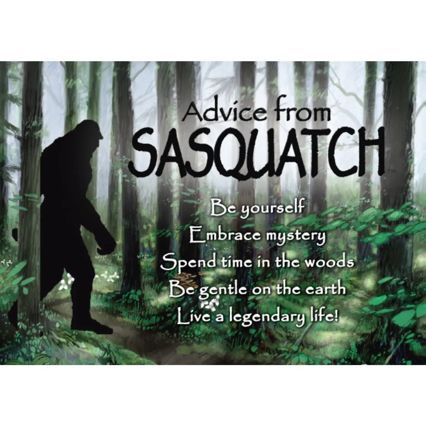 Magnet Advice from Sasquatch