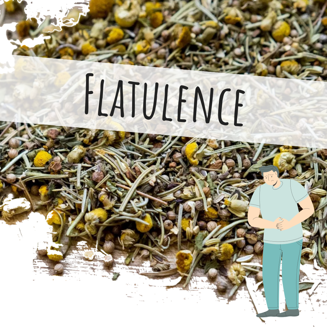 Flatulence Loose Leaf Tea