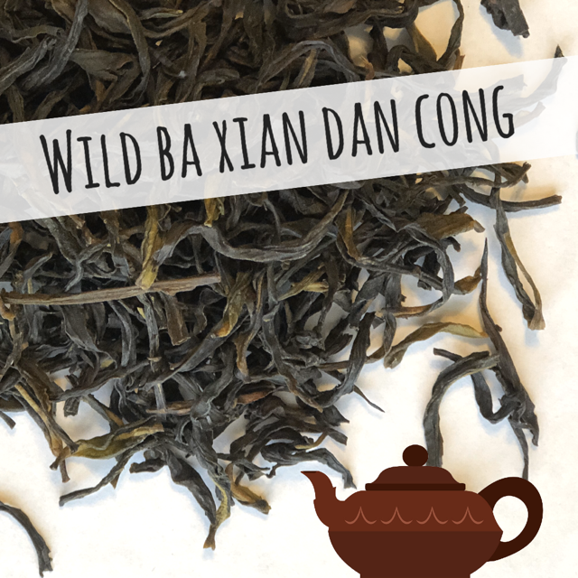 2oz. Loose Tea: Wild Ba Xian Dan Cong Oolong