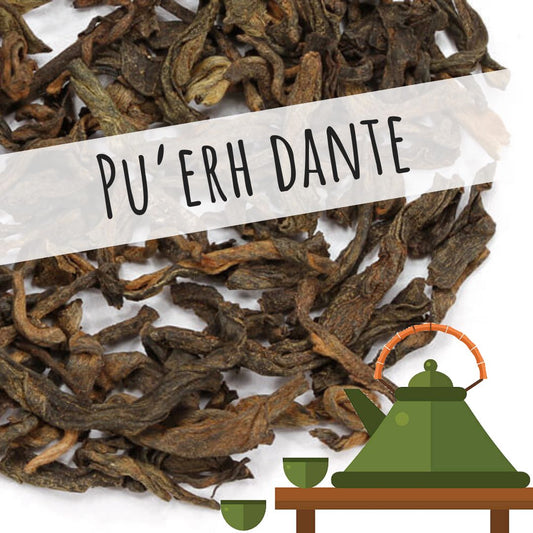 Pu'erh Dante Loose Leaf Tea